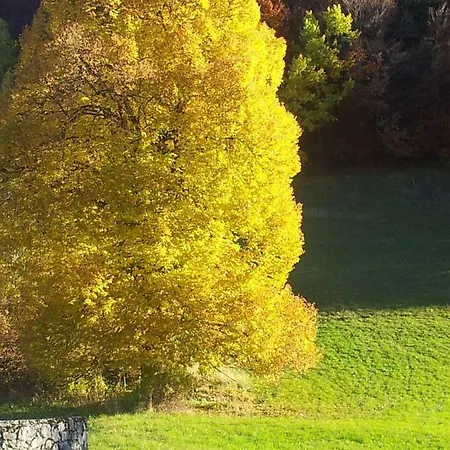 Le Relais Du Tilleul
